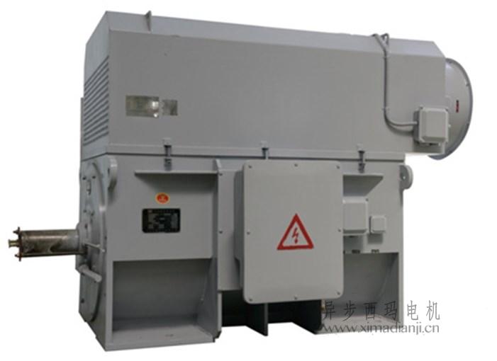 西玛高压变频电机YJTFKK5603-6 1120KW 10KV 25~50HZ IP55 带电加热器 